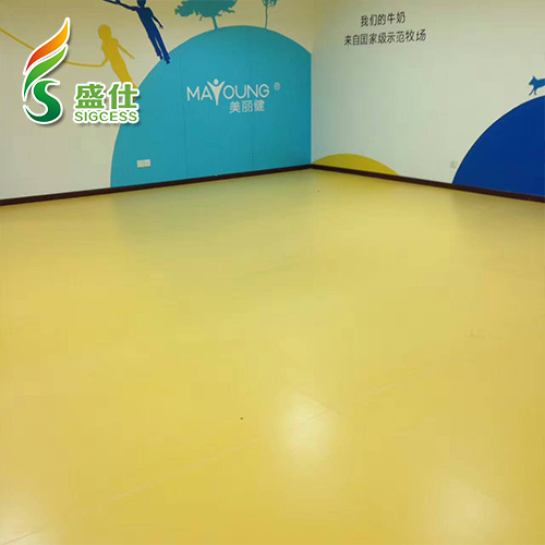 盛仕舞蹈地胶