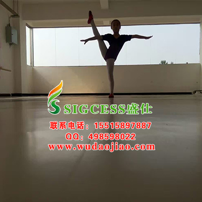 盛仕舞蹈地胶